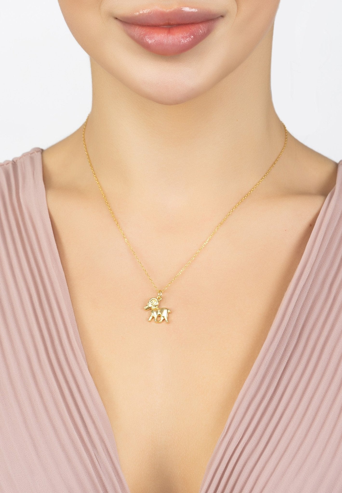 Personalized Necklaces - Zodiac Aries Star Sign Necklace Gold 