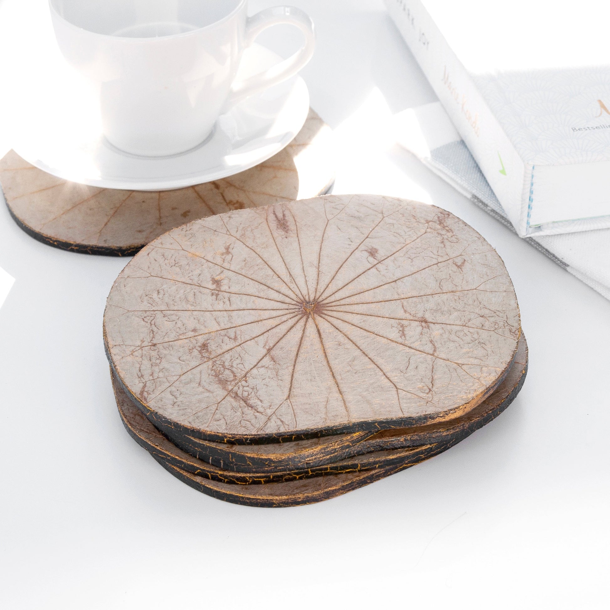 Lotus Leaf Wooden Coasters - Set of Six - Lovesakes