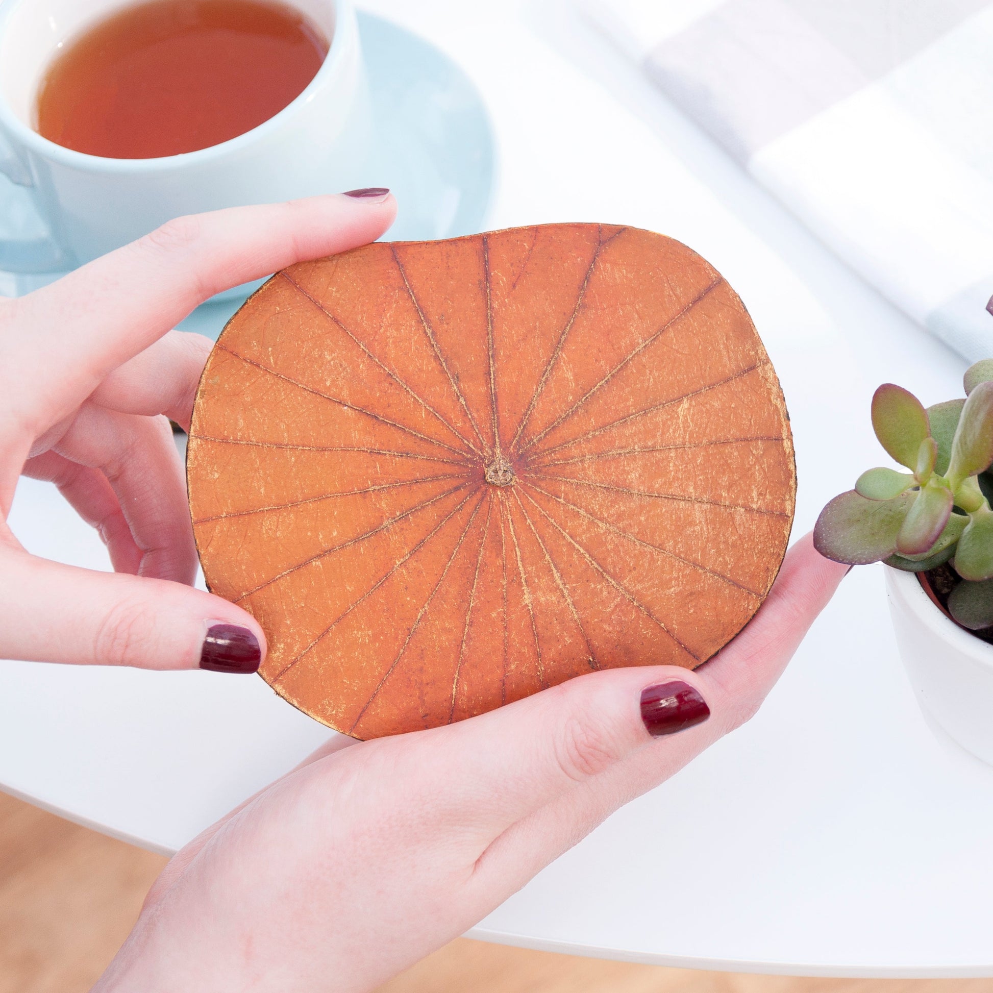 Lotus Leaf Wooden Coasters - Set of Six - Lovesakes