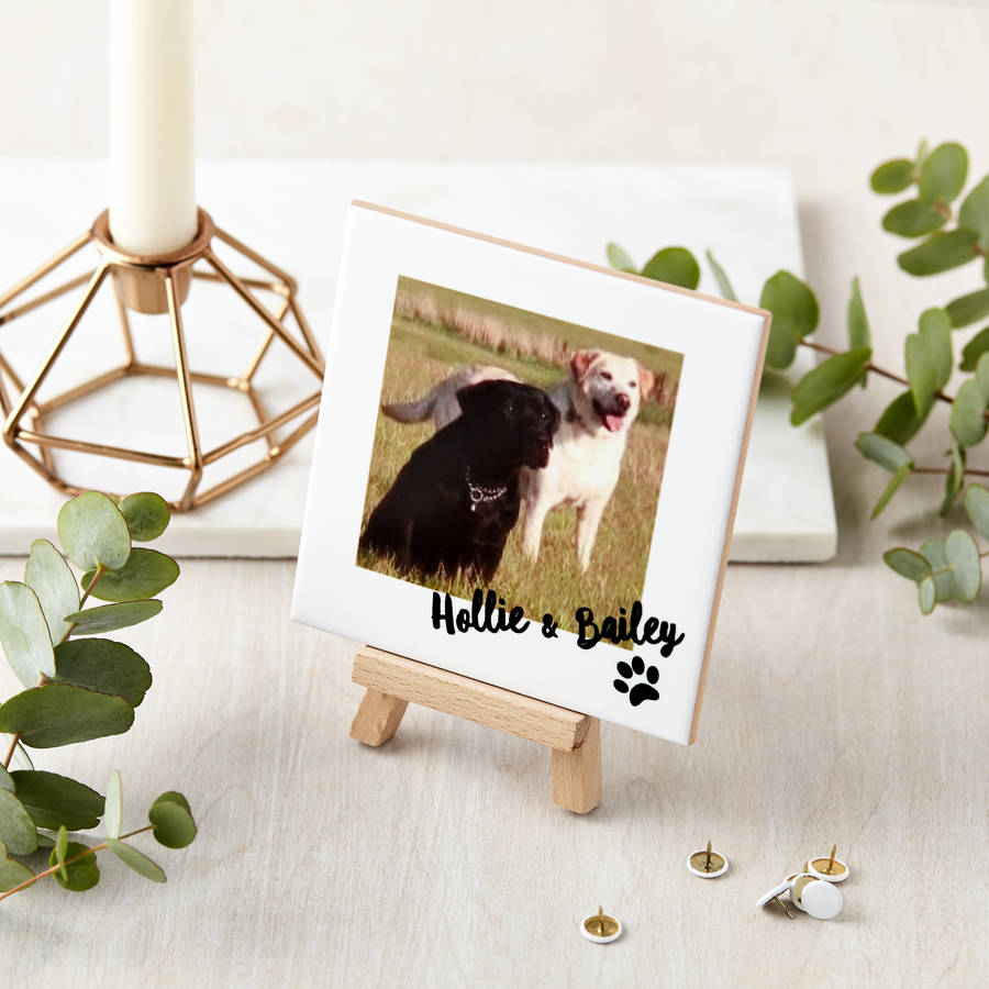 Personalized Ceramic Pet Photo and Mini Easel - GiftsofaKind